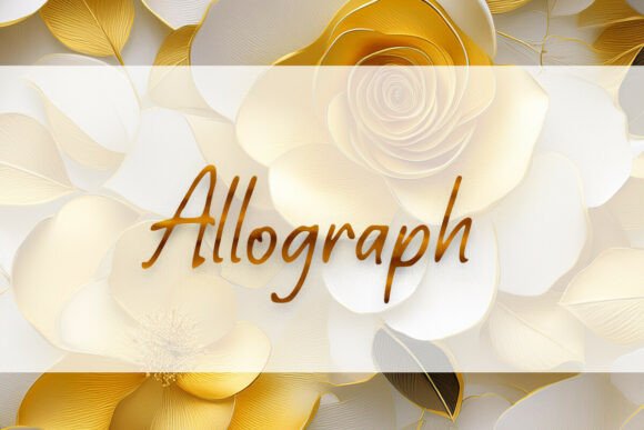 Allograph: A Designer’s Practical Review